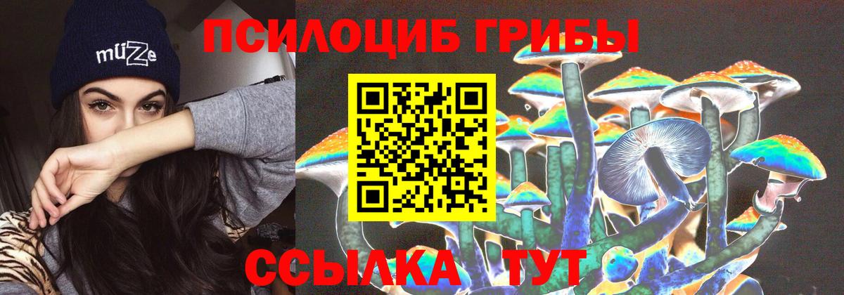 Псилоцибиновые грибы Psilocybe  Вход с VPN  Ленинск-Кузнецкий 