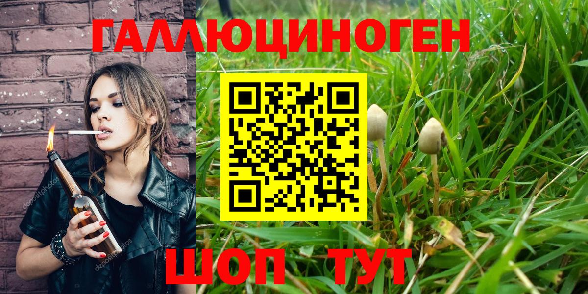 Псилоцибиновые грибы GOLDEN TEACHER Ленинск-Кузнецкий